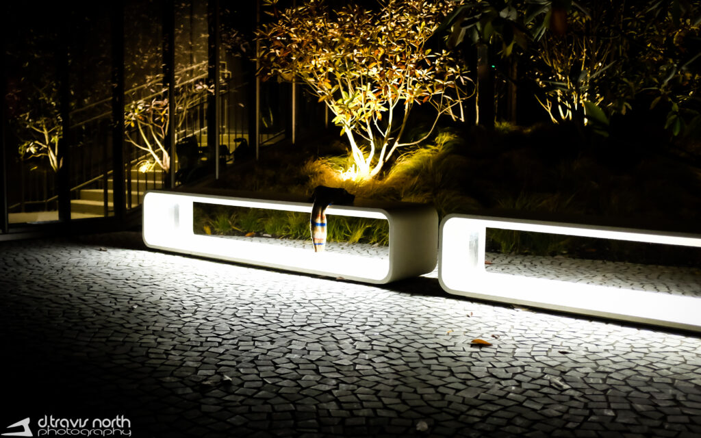 Something Left Behind